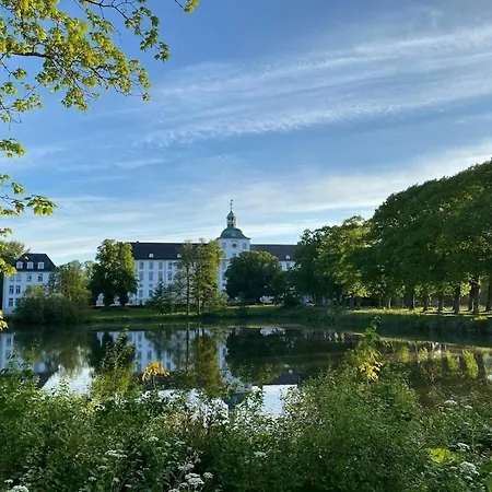 Reethues Schleiblick Selk